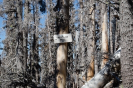 600-2017-Day3-P-Sign in Dollar Lake Fire Damage